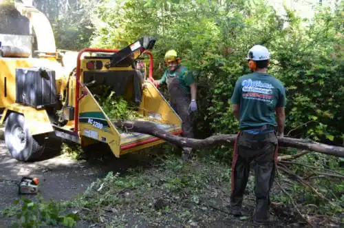 tree services Spencer